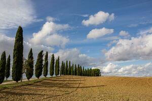 känd tuscany landskap med böjd väg och cypress, Italien, Europa. lantlig odla, cypress träd, grön fält, solljus och moln. foto