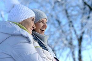 porträtt av Lycklig kvinnor i vinter- kläder Framställ utomhus foto