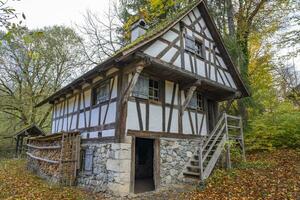 detta Foto visar wonderf korsvirkeshus hus i en jordbrukare by i Tyskland