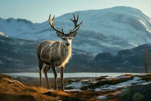 ai genererad ren i de vår förkroppsligande förnyelse och naturens säsong- skönhet ai genererad foto