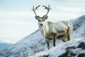 ai genererad ren i de vår förkroppsligande förnyelse och naturens säsong- skönhet ai genererad foto