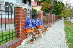 kaliningrad, Ryssland, amalienau distrikt, elit distrikt, gammal radhus i tysk stil, årgång cykel med korg med blommor foto