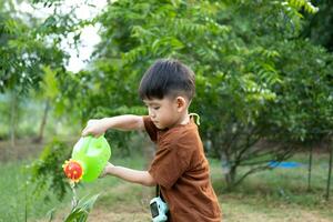asiatisk pojke vattning växter i utomhus- område foto
