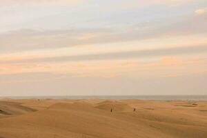 de sand sanddyner av de sahara öken- foto