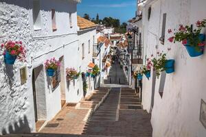 gata med blommor i de mijas stad, Spanien foto