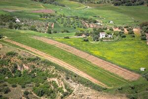 andalusien landskap, landsbygden väg och sten i ronda, Spanien foto