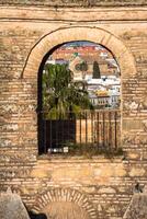 alcazar de los reyes cristianos Cordoba, Spanien foto