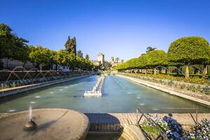 trädgårdar på de alcazar de los reyes cristianos i Cordoba, Spanien foto