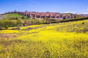 panorama- se av de historisk stad av avila, castilla y leon, Spanien foto