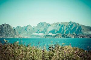 skön landskap, lofoten foto