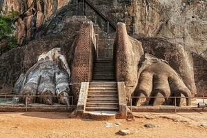 lejon tassar väg på sigiriya sten, sri lanka foto