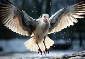 ai genererad stork landning på de snö, i en vinter- landskap med faller snö foto
