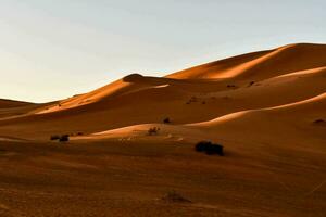 de Sol stiger över de sahara öken- foto