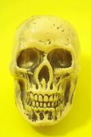 en gul skalle med en svart ansikte på en gul bakgrund foto