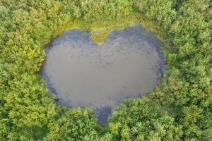 Flygfoto över hjärtformad naturlig sjö i Tomsk, sommar i Sibirien, Ryssland. foto