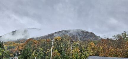 de dimma av de träd på de berg foto