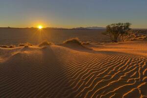 Sol starburst på solnedgång och vind svepte sand på de dyn foto