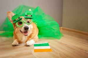 rolig corgi hund i kostym, irländsk Semester, st. Patricks dag, glasögon, vitklöver, flagga av Irland, kjol foto