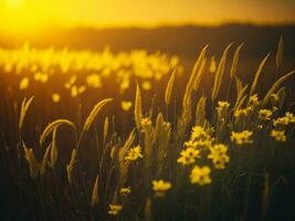 ai genererad abstrakt mjuk fokus solnedgång fält landskap av gul blommor och gräs äng värma gyllene timme solnedgång soluppgång tid. lugn vår sommar natur närbild och suddig skog bakgrund. foto