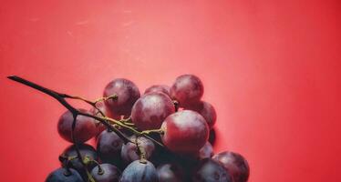 vitis vinifera eller röd vindruvor fotograferad från en stänga upp se och isolerat på röd bakgrund. skugga begrepp foto