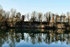 träd är reflekterad i de vatten av en flod foto