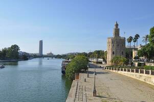 torre del oro transl. torn av guld i Sevilla foto