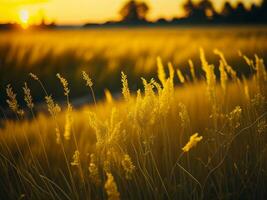 ai genererad abstrakt mjuk fokus solnedgång fält landskap av gul blommor och gräs äng värma gyllene timme solnedgång soluppgång tid. lugn vår sommar natur närbild och suddig skog bakgrund. foto