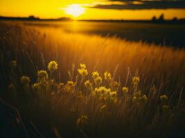 ai genererad abstrakt mjuk fokus solnedgång fält landskap av gul blommor och gräs äng värma gyllene timme solnedgång soluppgång tid. lugn vår sommar natur närbild och suddig skog bakgrund. foto