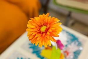 orange gerbera blomma. foto