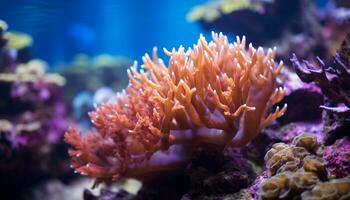 ai genererad vibrerande clown fisk simma Nedan de färgrik korall rev genererad förbi ai foto