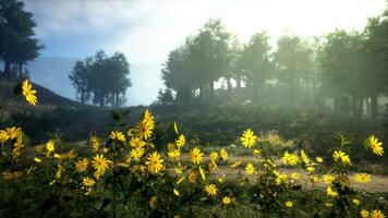 en vibrerande fält av gul blommor med en naturskön bakgrund av träd foto