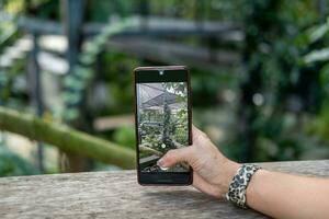 kvinnas hand innehav en mobil telefon tar bilder av en botanisk trädgård foto