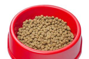 torr foder som balanserad näring för djur. hund eller katt mat kroketter i röd skål isolera. foto