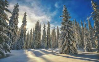 ai genererad förtjusande vinter- sagoland, majestätisk tall träd täckt i blänkande snö foto