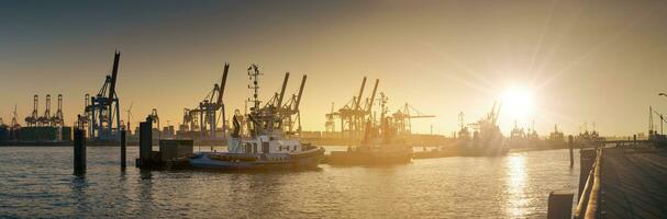 solnedgång på de elbe promenad hamburg altona foto