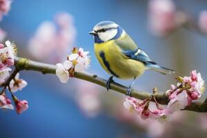 ai genererad en bluetit fågel vilar på de gren. eurasian blå mes foto