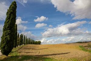 känd tuscany landskap med böjd väg och cypress, Italien, Europa. lantlig odla, cypress träd, grön fält, solljus och moln. foto