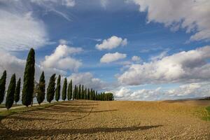 känd tuscany landskap med böjd väg och cypress, Italien, Europa. lantlig odla, cypress träd, grön fält, solljus och moln. foto