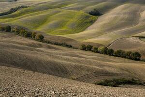 UPPTAGITS fält och ängar landskap i Toscana, Italien. vågig Land landskap på höst solnedgång. odlingsbar landa redo för de jordbruks säsong. foto