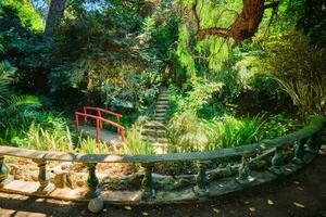 kinesisk stil bro i asiatisk del av tropisk botanisk trädgård i Lissabon, portugal foto