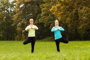 två kvinna håller på med yoga i natur. foto