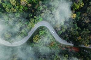skog väg och morgon- dimma, hög vinkel foto