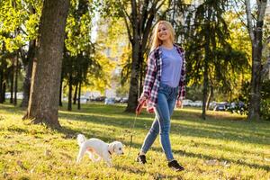 skön kvinna gående med henne maltese hund i de parkera. foto