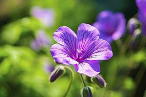 ai genererad geranium wilfordii blomma. foto