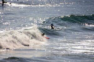en surfare ridning en Vinka i de hav foto