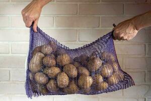 man innehav en maska väska av nyligen UPPTAGITS potatisar för mat tillförsel foto