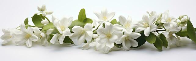 ai genererad jasmin blommor på vit yta. ai genererad foto