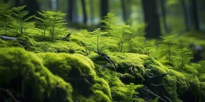 ai genererad grön mossa närbild, med en bakgrund av skog. skog i de nationell parkera. ai genererad foto