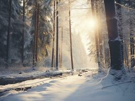 ai genererad fredlig vinter- skog super realism landskap foto