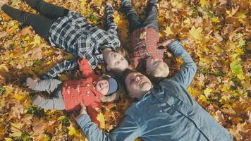 de Lycklig familj lögner på deras ryggar i de höst löv. foto
